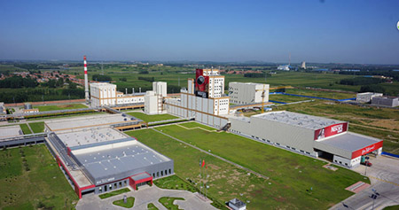 青島雀巢有限公司