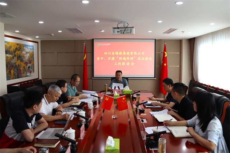 邓华主持召开资中、万源“两端两网”试点建设工作推进会