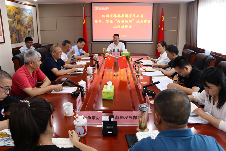 邓华主持召开资中、万源“两端两网”试点建设工作推进会