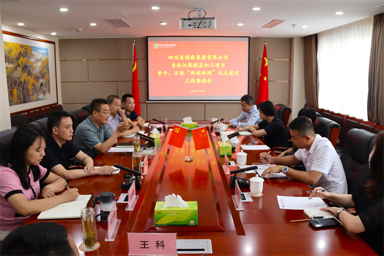 邓华主持召开集团公司青白江保税区加工项目资中 、万源“两端两网”试点建设项目工作推进会